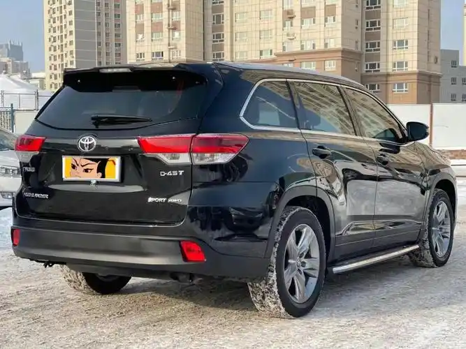 丰田 汉兰达  2020款 2.0t 四驱百万纪念版 7座图片