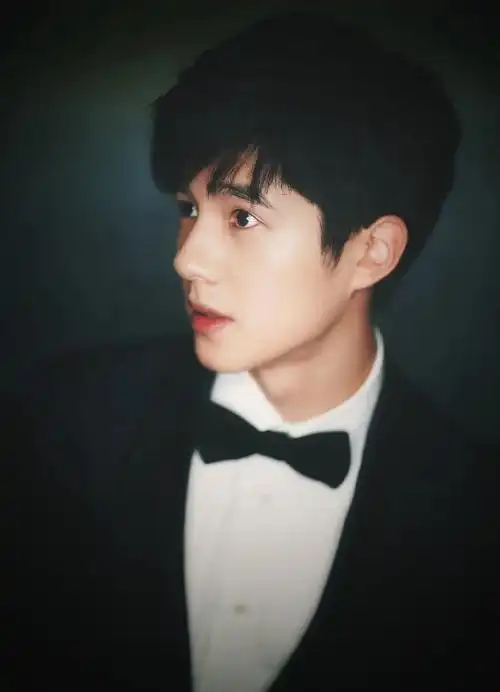 刘昊然出道十周年快乐