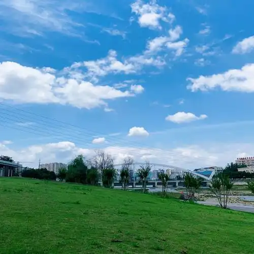 🌤🌱🐕蓝天白云绿草地和小狗勾的适配度好高