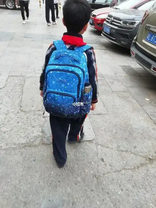 现在每天早上目送送儿子去上学,留给我的也只是一个小小的背影