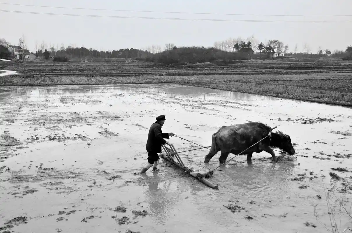 2:2000年代农民住房
