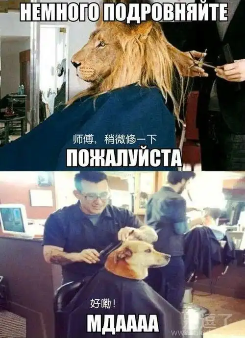 和理发师的代沟有一个世界那么宽