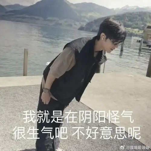 肖战工作室##肖战##肖战看了都要保存的表情包##日常见肖战