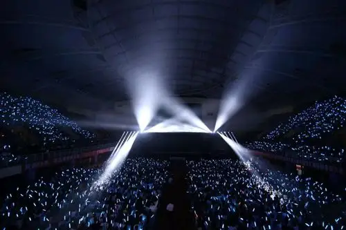 音乐节 演唱会 校园表演节目led荧光遥控变色发光棒 助威道具礼品