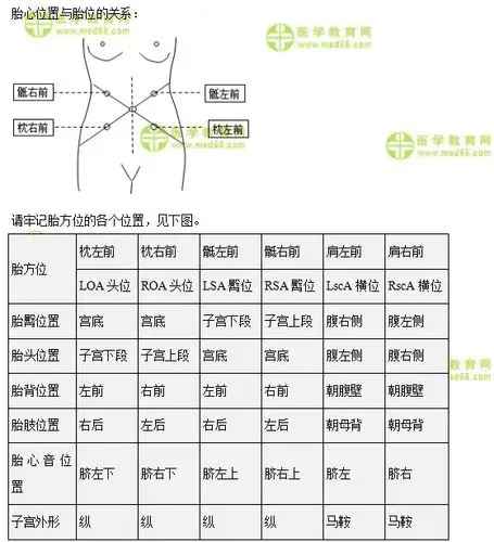 医学教育网初级护师:《答疑周刊》2021年第11期