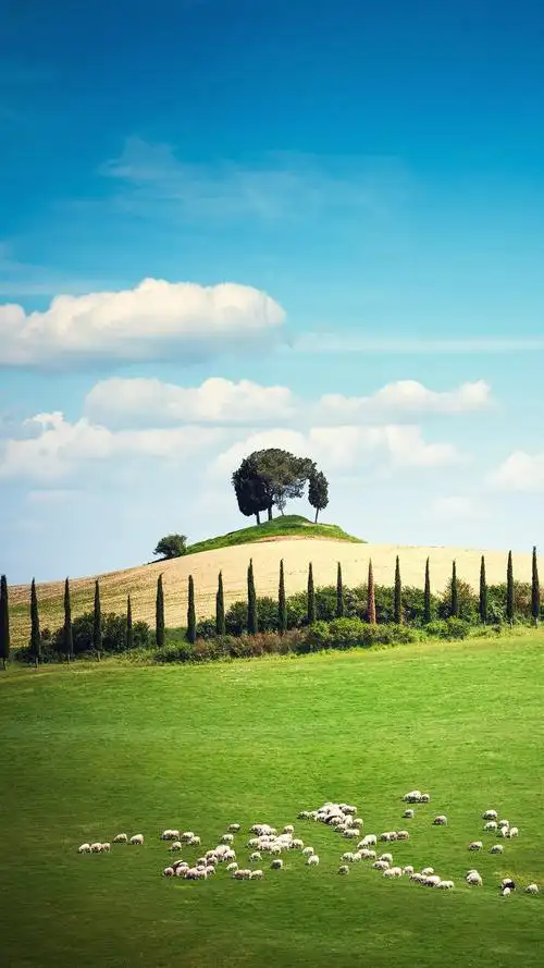 清新绿色护眼自然风景高清手机壁纸图片