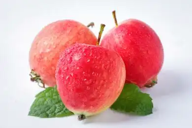 白底上摆放着东北海棠果