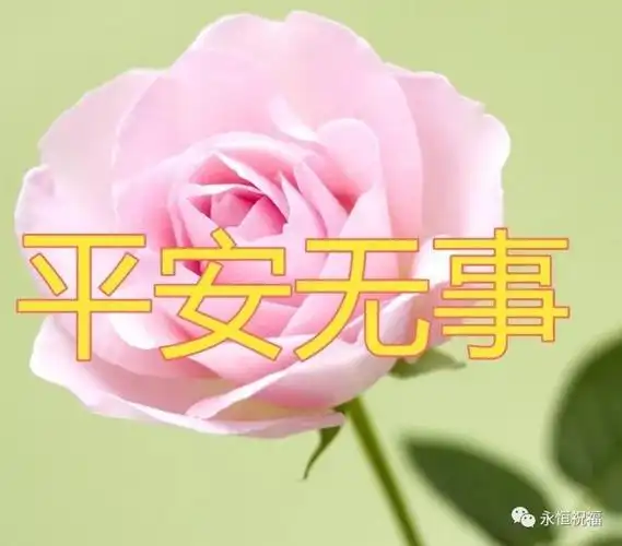 的言语送上最我真挚的问候在这个特别的日子里祝愿您平平安安一切顺利
