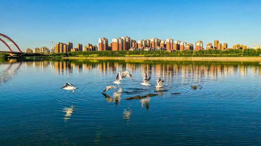 中新天津生态城:绘就绿色发展底色为营商环境加分