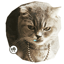 萌宠流口水小猫馋gif动图_动态图_表情包下载_soogif