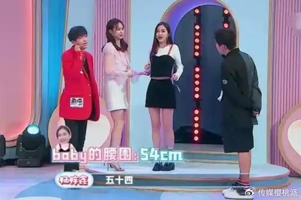 镁光灯背后的小鸟胃