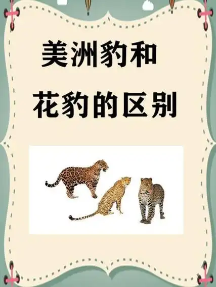 美洲豹和花豹的区别