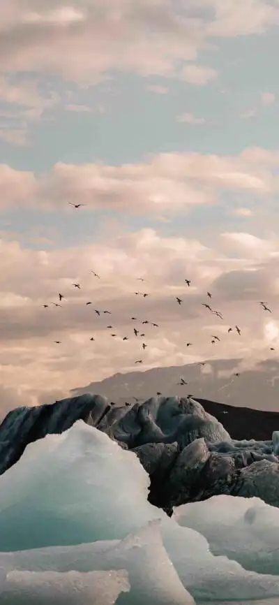 小红书 - 堆糖,美图壁纸兴趣社区