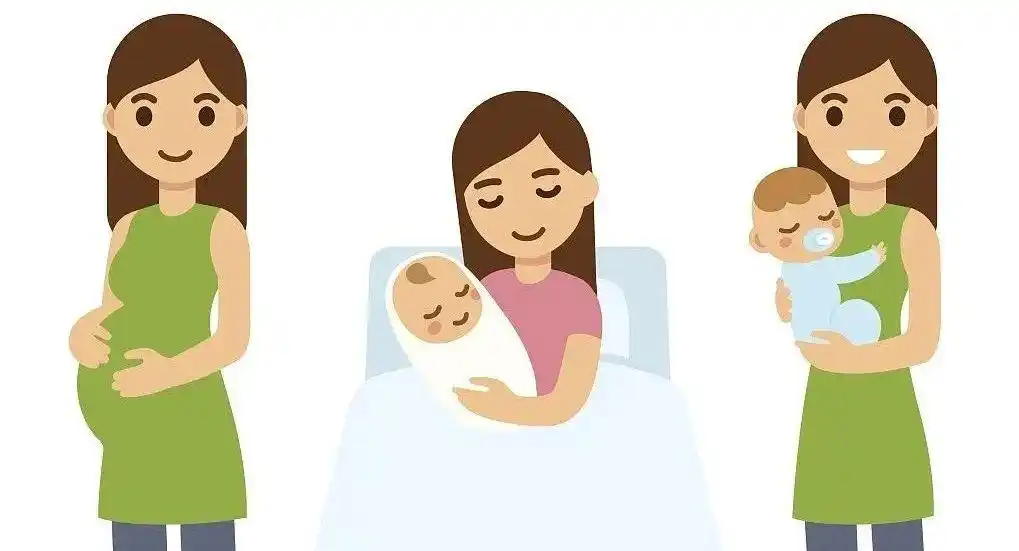 nature重磅发现延长女性生育寿命的新基因