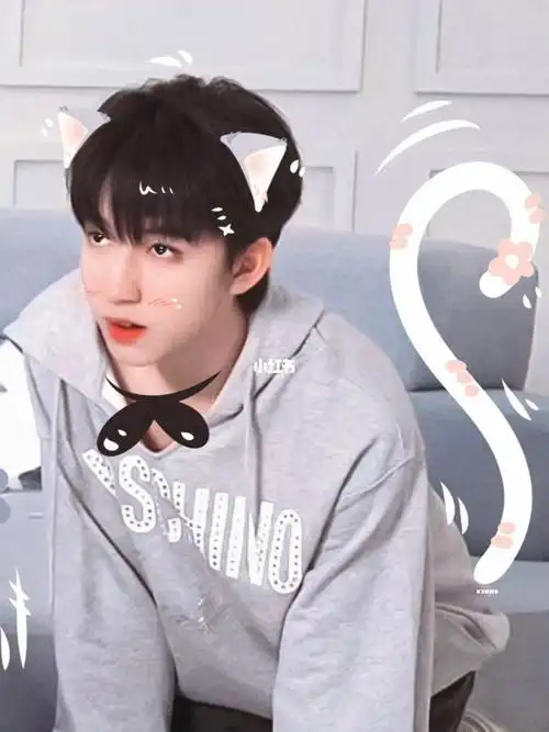 贺峻霖#时代少年团贺峻霖#tnt时代少年团#做我的猫#贺峻霖人形布偶猫