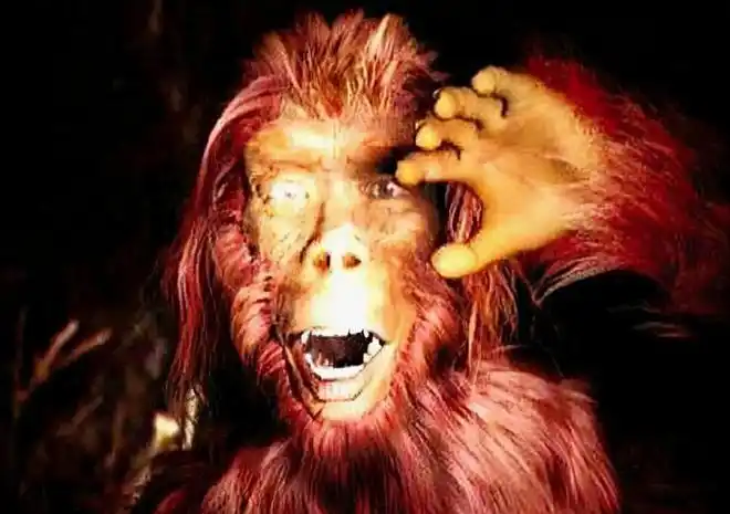 老汉深山采药遇野人浑身红毛似人非人野人莫非真的存在