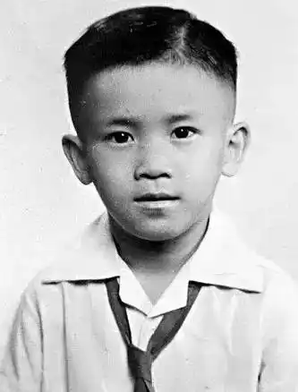 10柯震东9林依晨8郑元畅7刘德华5陈意涵4萧亚轩3霍建华2张翰1古巨基