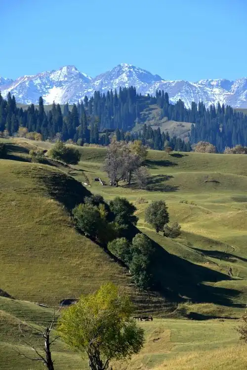 行摄者的乐园～新疆行之那拉提草原 写美篇那拉提草原,属高山草甸草原