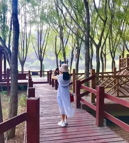 中年女人的背影,也可以是一道风景