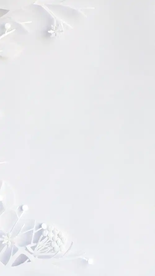 白色清新h5背景
