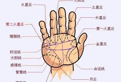 生命线短难长寿 好多人活过百岁(3)