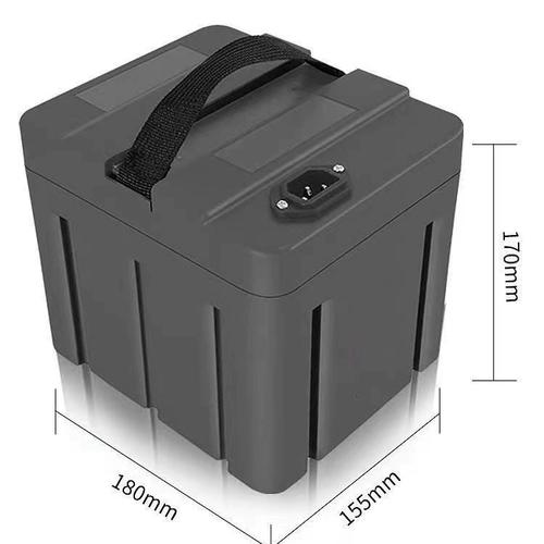 48v新国标电动车锂电池台铃爱玛新日星恒绿源电瓶16ah20ah12a