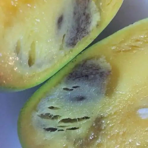 中华特色蒲江馆攀枝花凯特大芒果5斤装大青芒当季时令新鲜水果