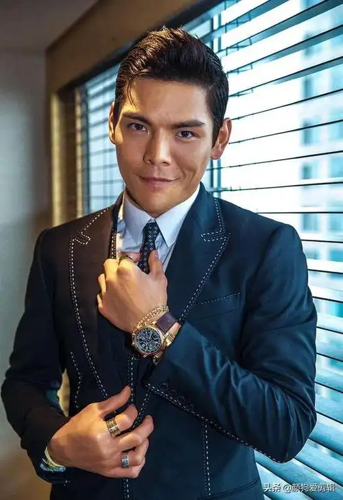 香港明星大全名单图片(盘点香港的100位明星)(94)