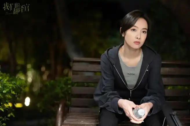 宋茜我们的翻译官