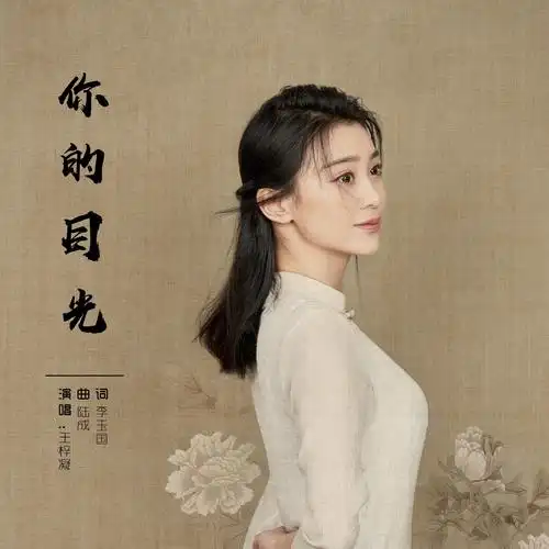 你的目光_王宁宁_高音质在线试听_你的目光歌词|歌曲下载_酷狗音乐