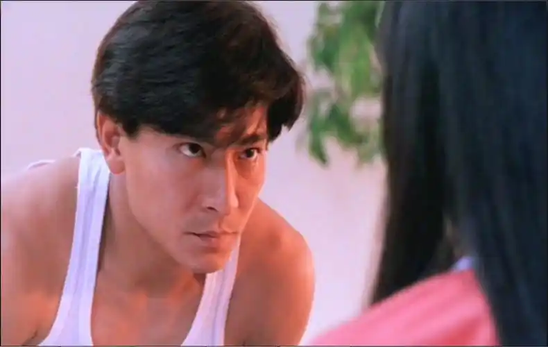 ">黄文云 /a>执导, a href="#" data-lemmaid="114923">刘德华 /a>, a