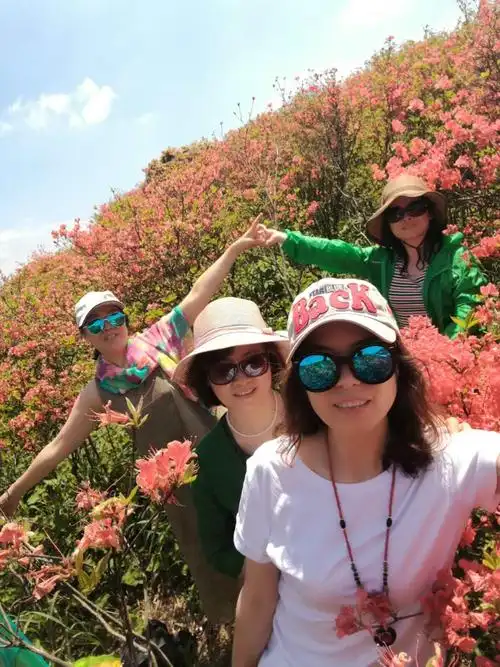 大围山的杜鹃红了!