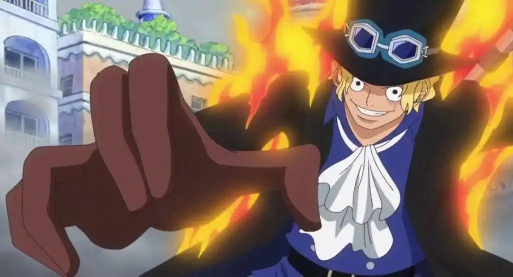 海贼王中奇葩的手势(海贼王中奇葩的手势是什么) - 趣味头条