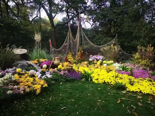 杭州植物园2020年菊花展览(一)