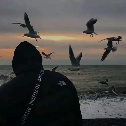 男生头像个性又帅气的不露脸背影头像落日风景头像