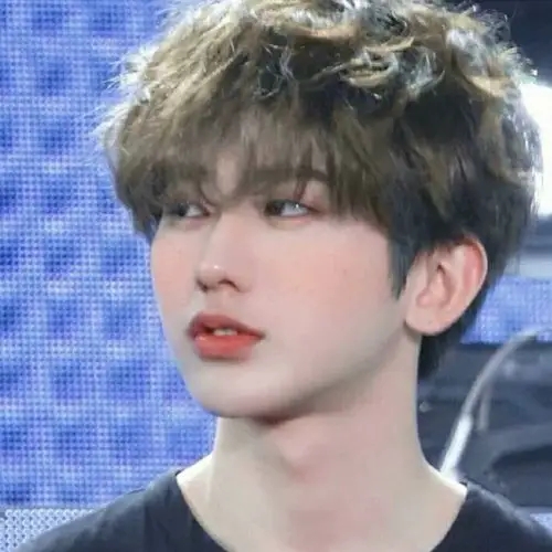 蔡徐坤/可爱头像蔡小葵礼貌拿图.