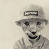 内涵微信头像图片大全【点击鼠标右键下载】