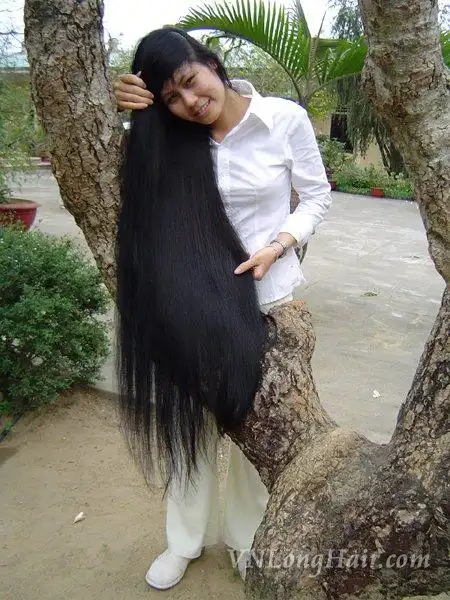 收藏的越南长发女图集与大家分享(52)