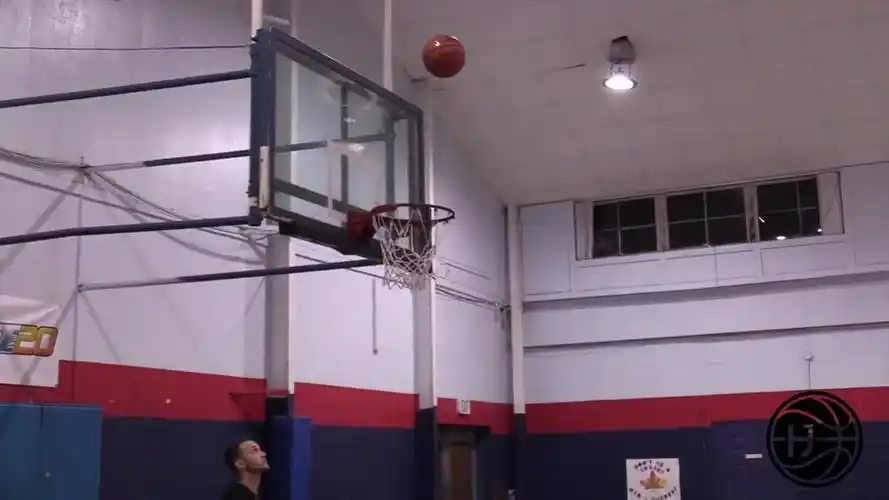 julian newman 最新训练视频_哔哩哔哩 (゜-゜)つロ 干杯~-bilibili