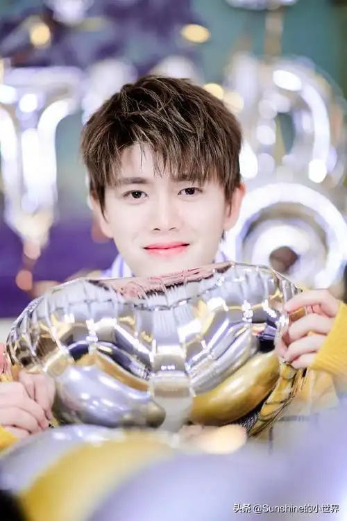 任嘉伦多少岁,任嘉伦进入娱乐圈的时候是几岁(31岁的任嘉伦生日快乐)