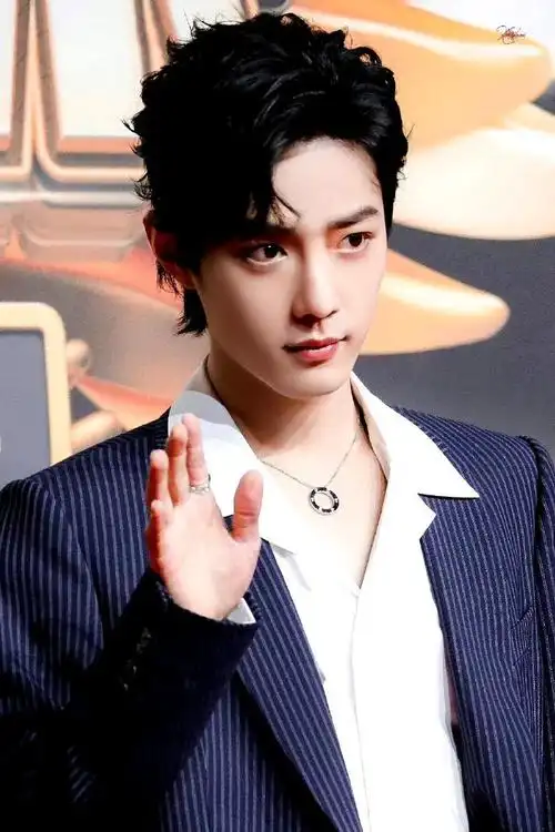 男明星狼尾发型