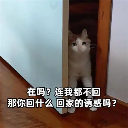 表情包在吗表情包可爱图片