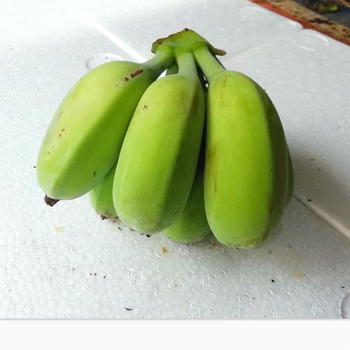 香蕉米蕉新鲜水果包邮10斤整箱广西苹果蕉小香蕉