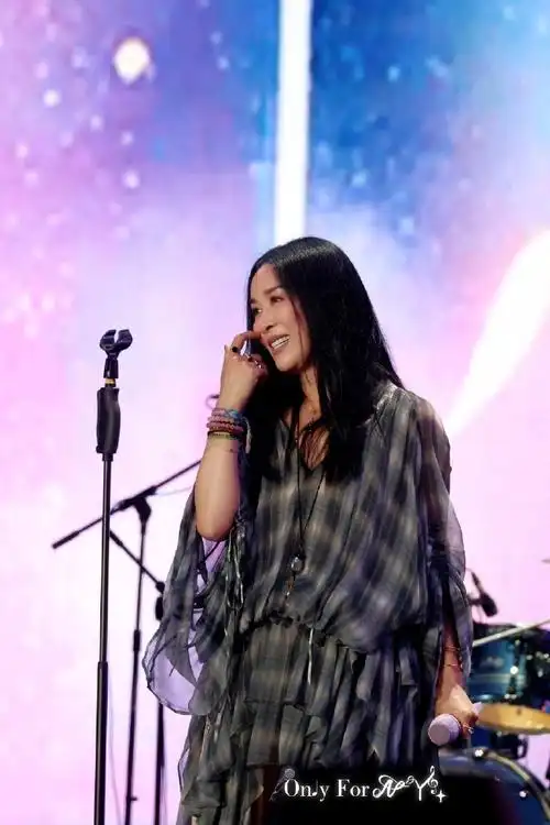 那英十三首连唱给我听爽了