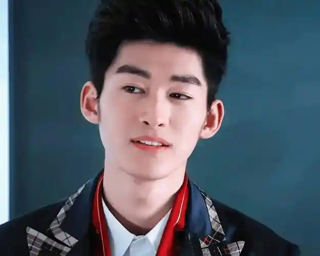 看了这4位明星"换脸史",不得不信,红气养人才是最邪整容术_张翰_成毅