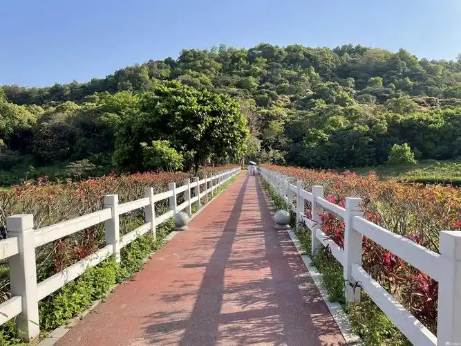 南沙黄山鲁森林公园