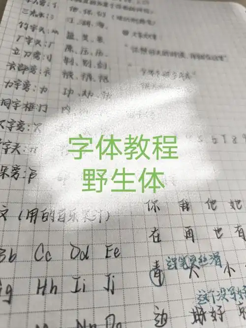 字体教程