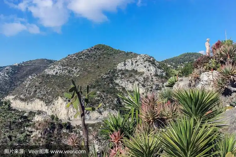山谷中的地中海植物