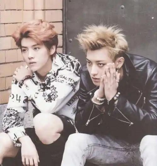 11月26日,有媒体拍到了鹿晗,黄子韬,宋茜和毛不易出现在北京机场,准备