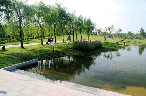 宿迁雪峰公园图片大全